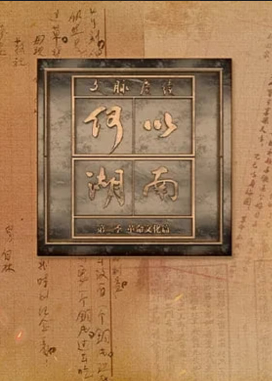 文脉赓续 何以湖南 第二季——河南夫妇收养的巴基斯坦孤儿长大了